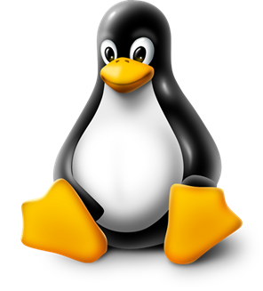 Linux Application Development
